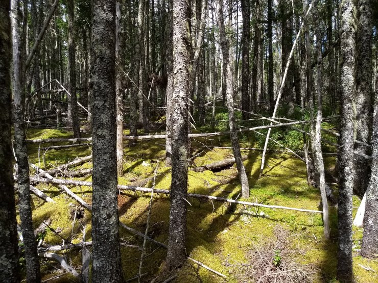 img_20180823_124851637