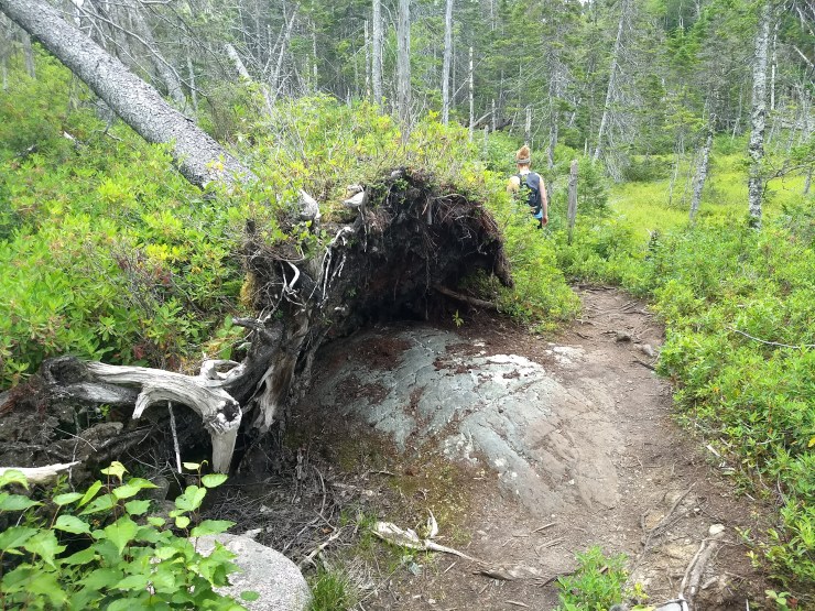 img_20180823_130433933