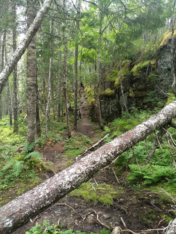 img_20180823_131124506