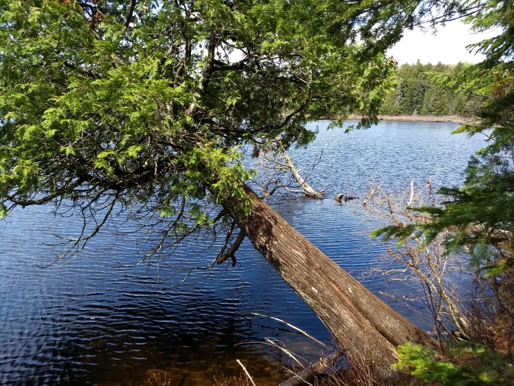 img_20180520_114501934