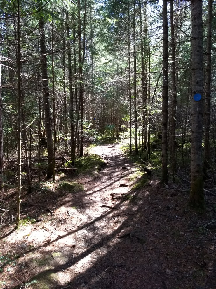 img_20180520_160123458