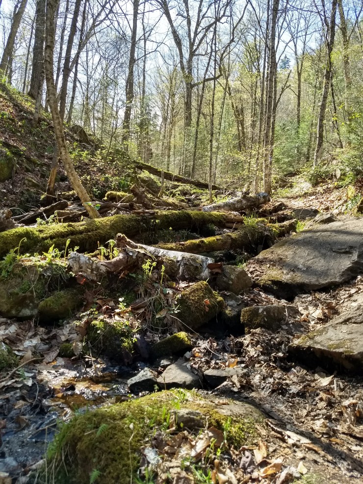 img_20180520_162610421_hdr