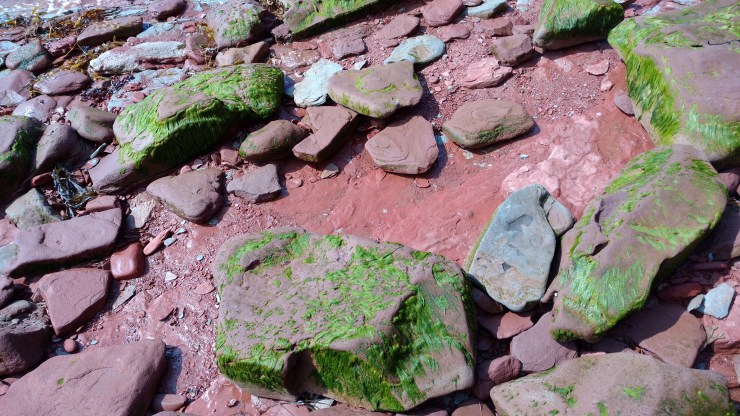 img_20160806_105835579