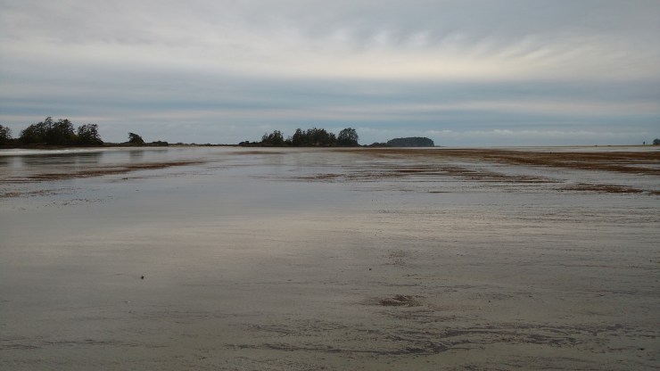 img_20170508_065236309