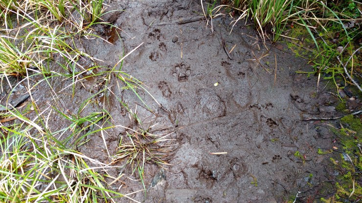 img_20170508_134217775