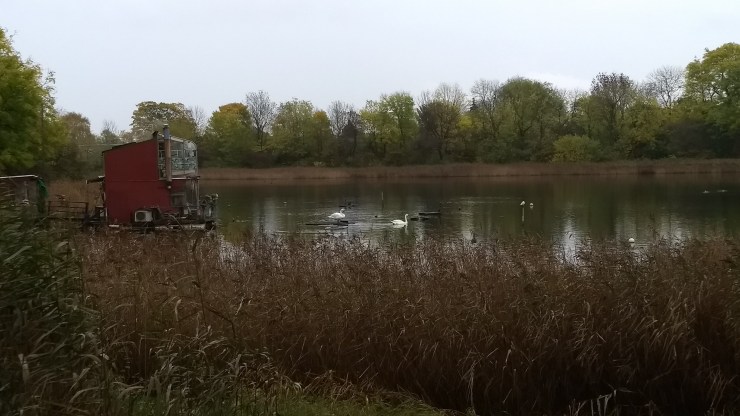 img_20171022_141858206