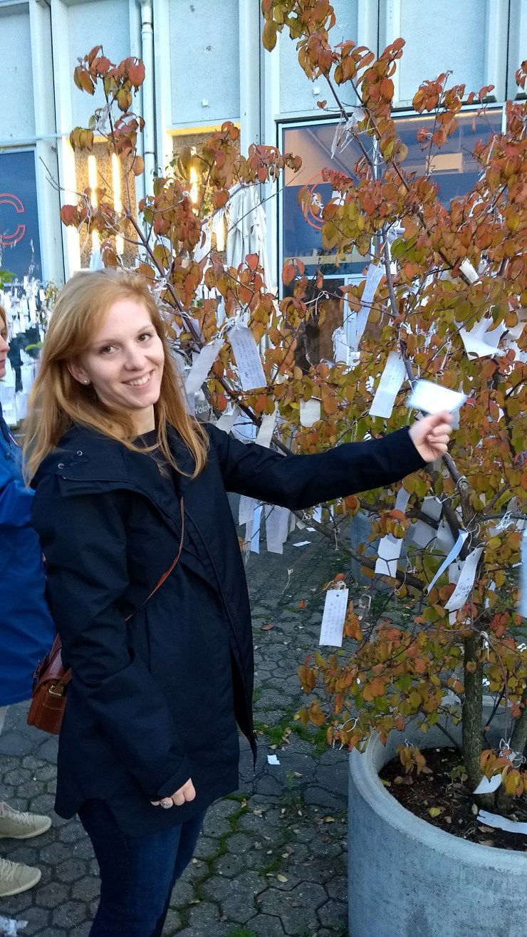 img_20171022_174340892