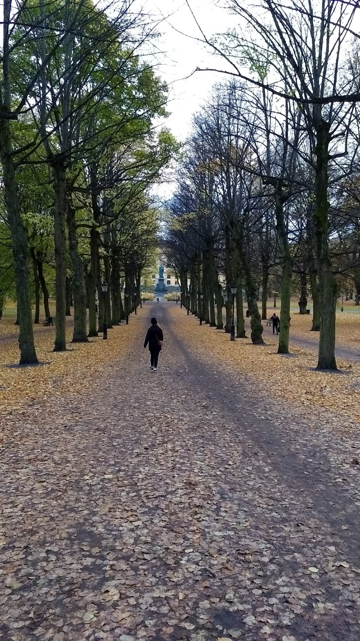 img_20171027_170017312