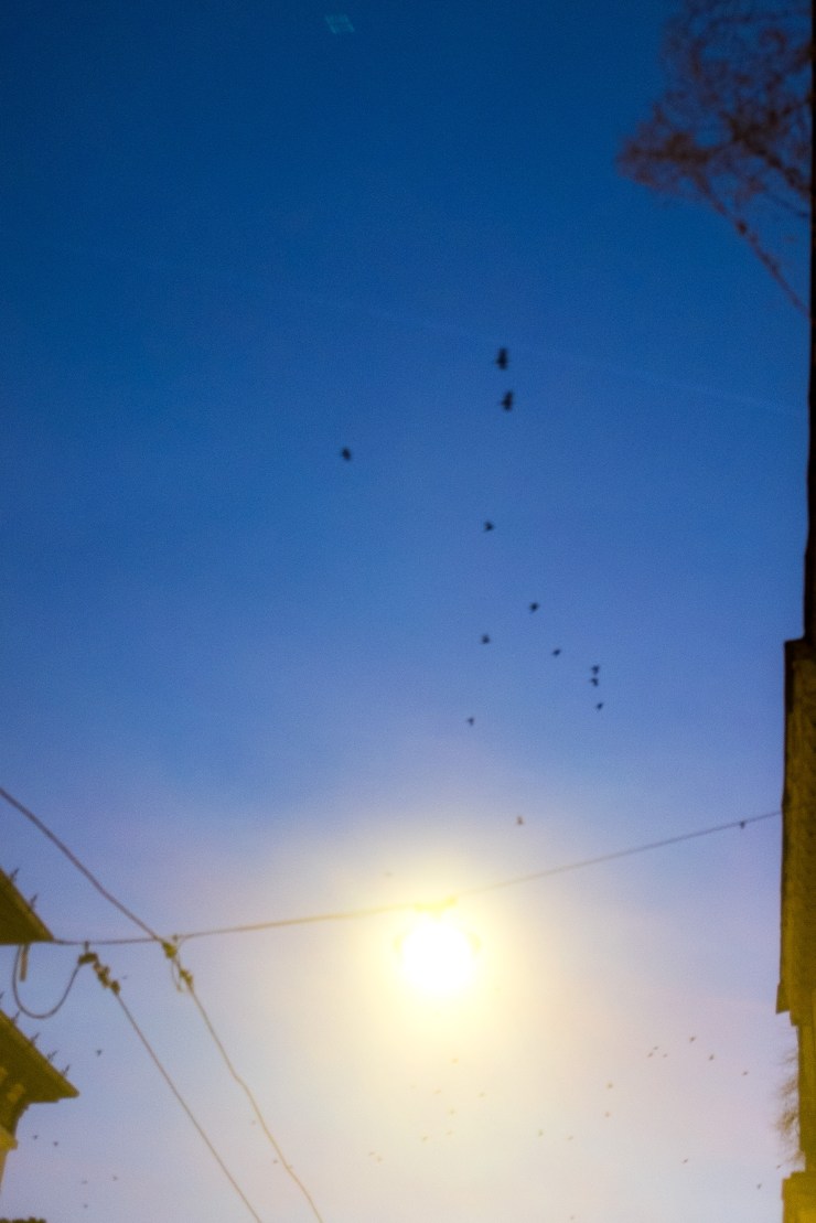 romania0980 (1 of 1)