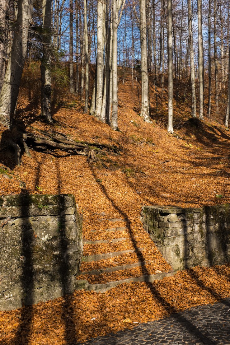 romania1730 (1 of 1)