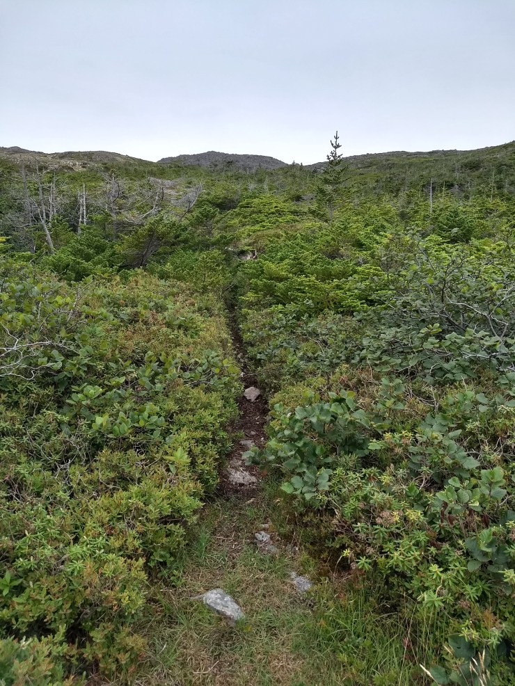 IMG_20180821_165948356_HDR