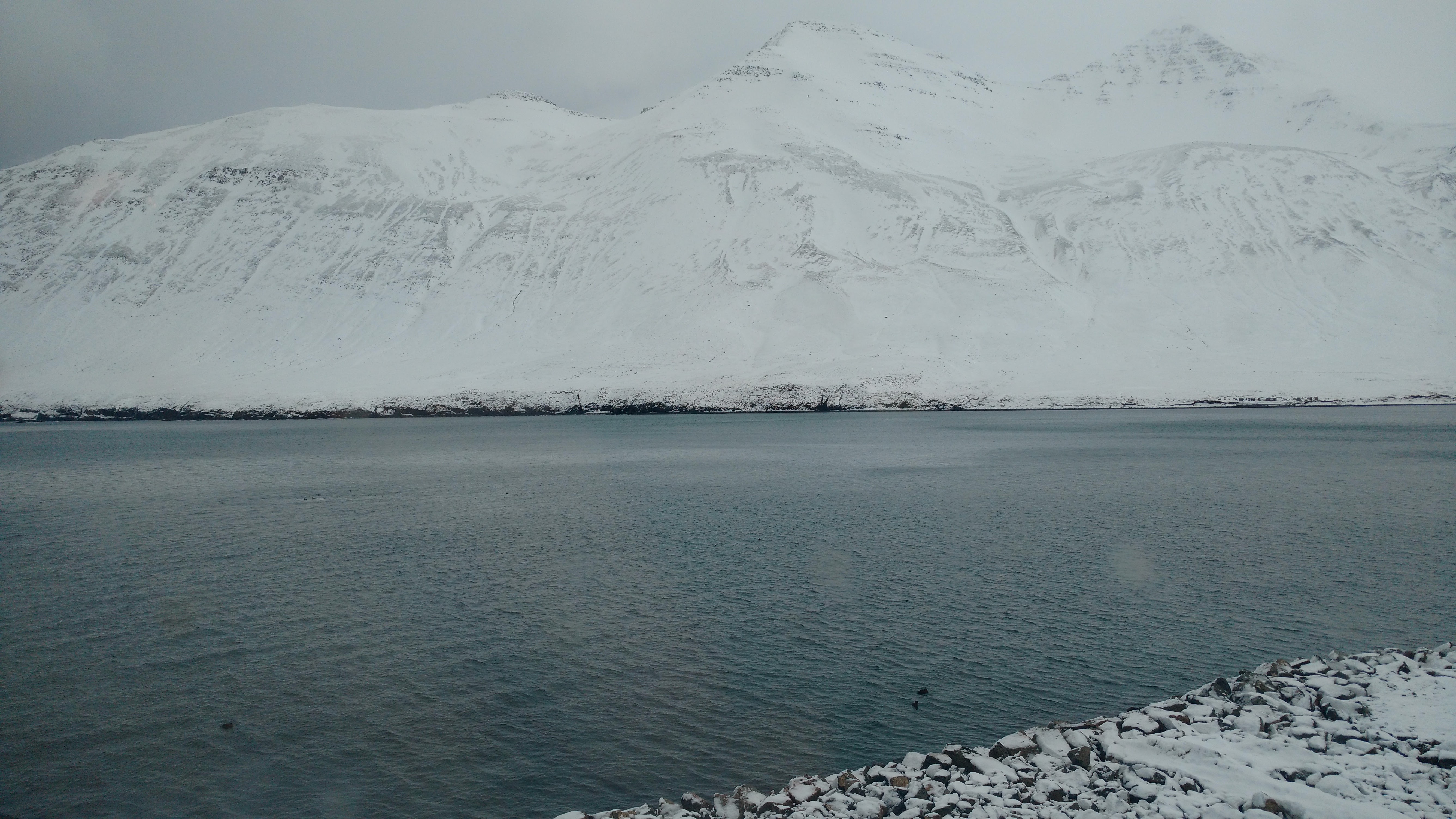 IMG_20170222_115924030