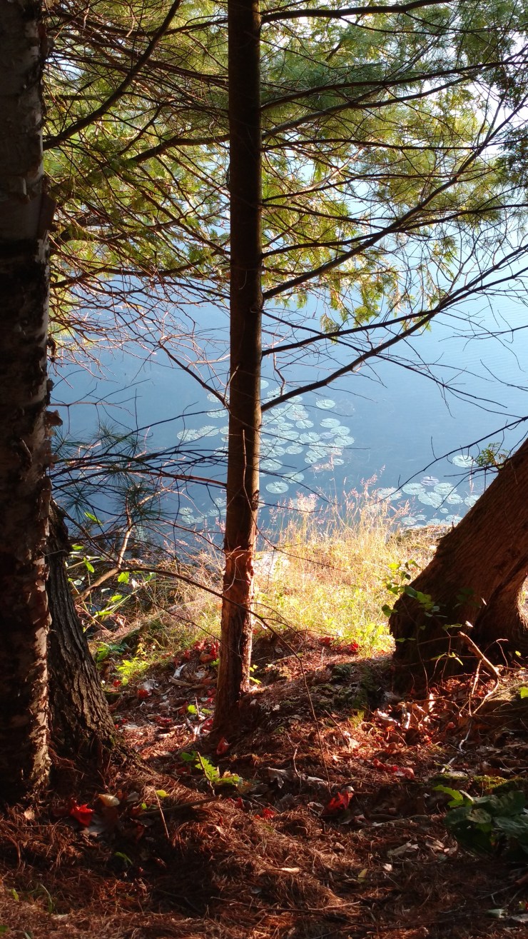 IMG_20170902_185312519