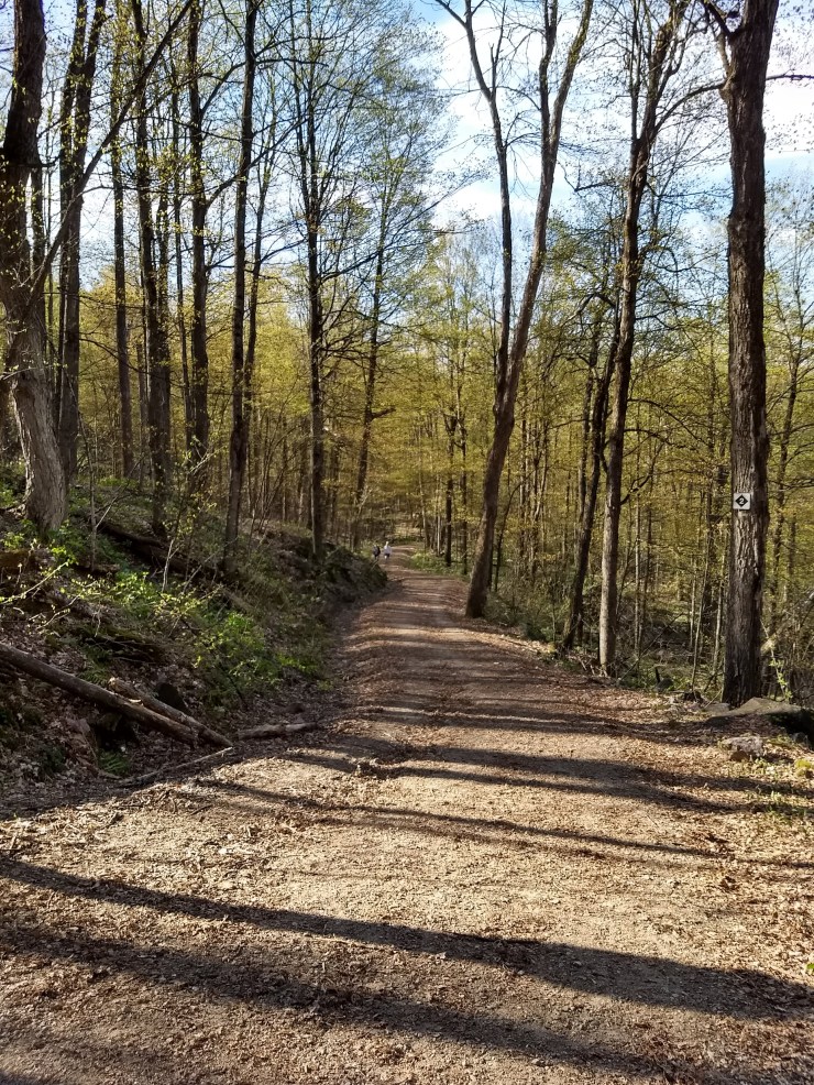 IMG_20180512_172857709_HDR