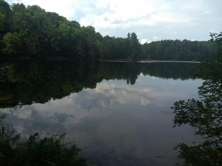 IMG_20180806_154011495