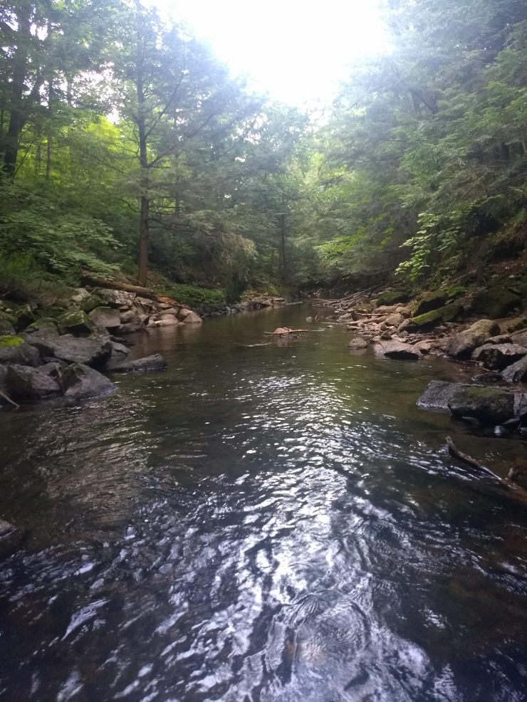 IMG_20180806_161743482