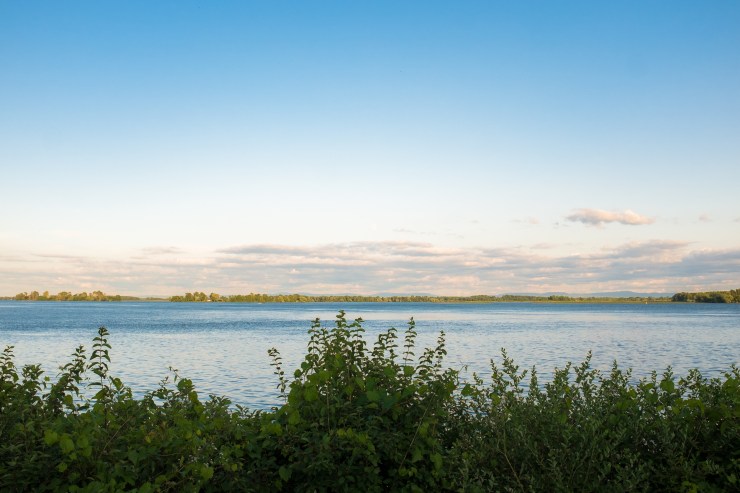 article4841 (1 of 1)